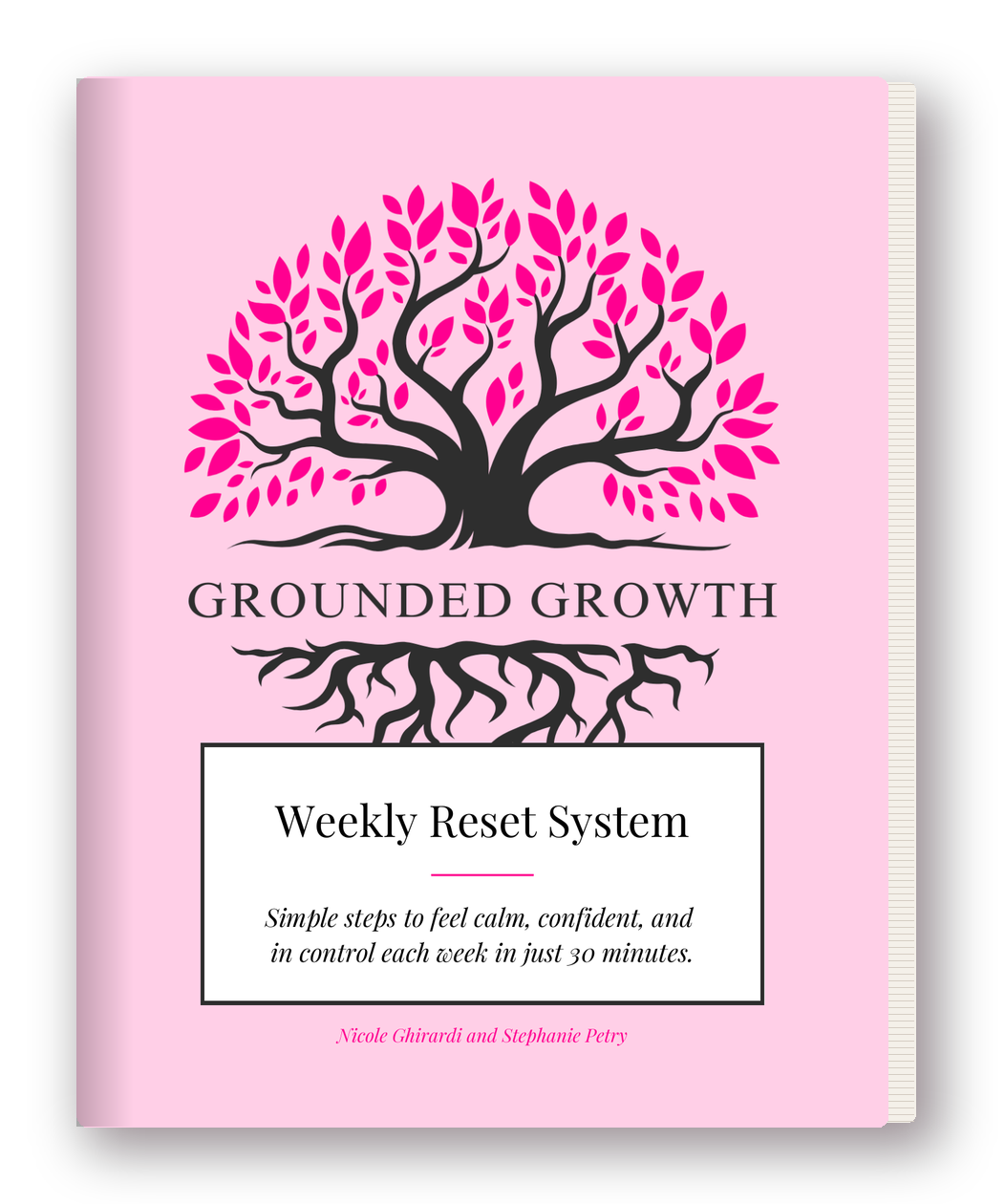 Free Weekly Reset System