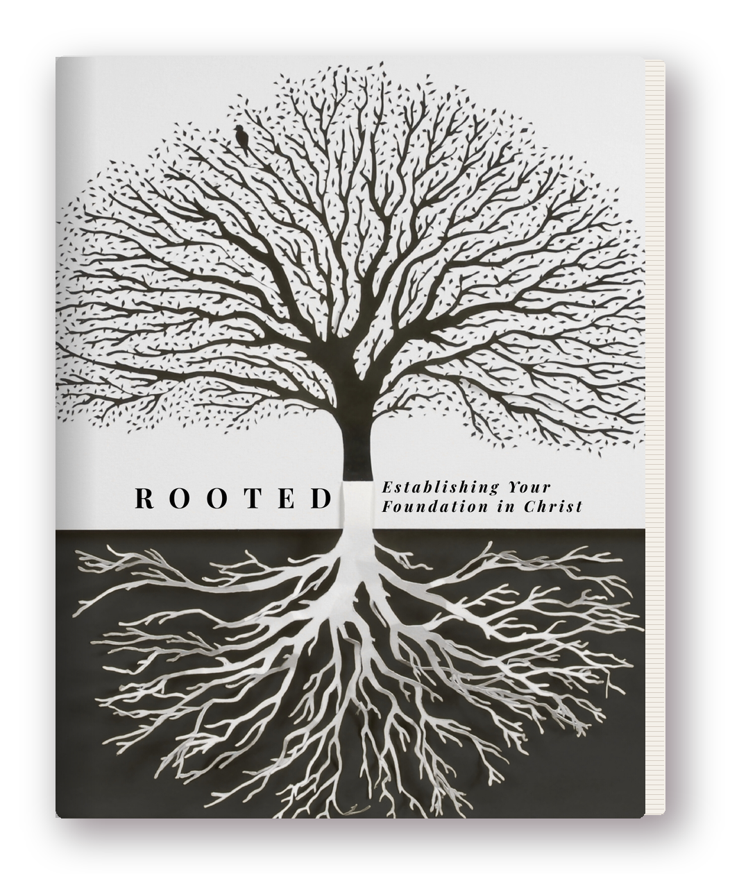 ROOTED: Establishing Your Foundation in Christ journal